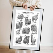 "Animals & Their Wool" Print