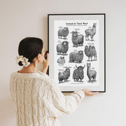 "Animals & Their Wool" Print