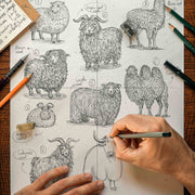 "Animals & Their Wool" Print