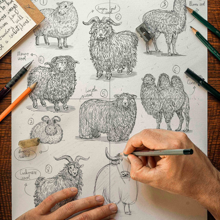 "Animals & Their Wool" Print