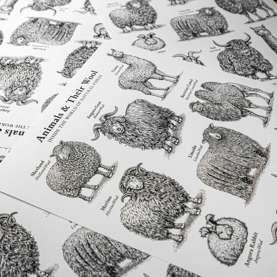 "Animals & Their Wool" Print