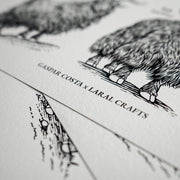 "Animals & Their Wool" Print