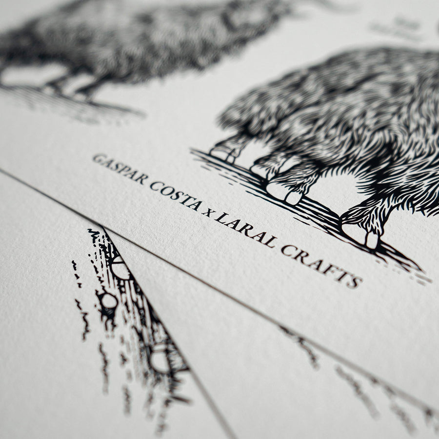 "Animals & Their Wool" Print