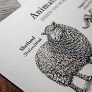 "Animals & Their Wool" Print