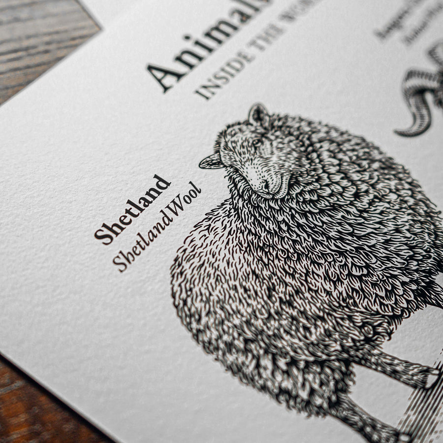 "Animals & Their Wool" Print