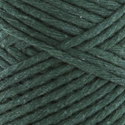 Hooked Eco-Twist