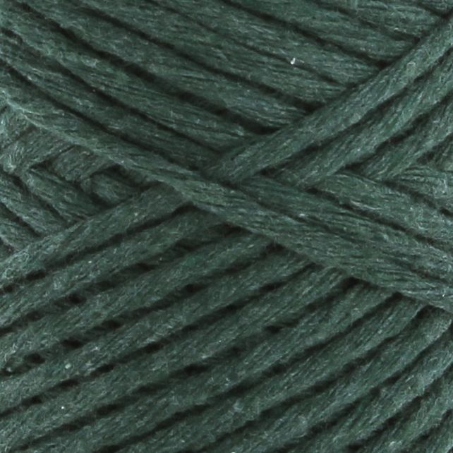 Hooked Eco-Twist
